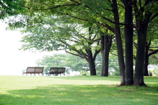 park